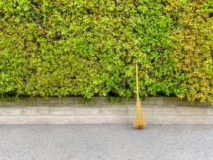 コインパーキングを清潔に保つためには清掃が大切！注意点も紹介します